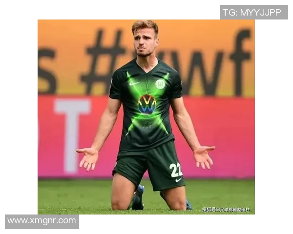 沃尔夫斯堡主帅道尔评析球队处境，展望未来战局